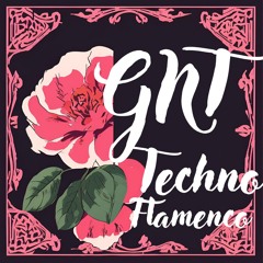 Techno Flamenco Vol4 / GNT (Free DL)