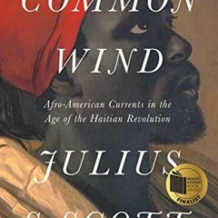 Access KINDLE PDF EBOOK EPUB The Common Wind: Afro-American Currents in the Age of th
