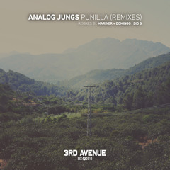 PREMIERE: Analog Jungs - Punilla (Mariner + Domingo Remix) [3rd Avenue]