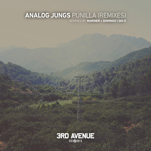 PREMIERE: Analog Jungs - Punilla (Mariner + Domingo Remix) [3rd Avenue]