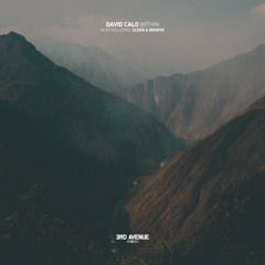PREMIERE: David Calo - Clean & Remove [3rd Avenue]