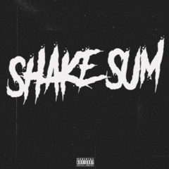 shake sum (prod. TooRaw x primus1time)