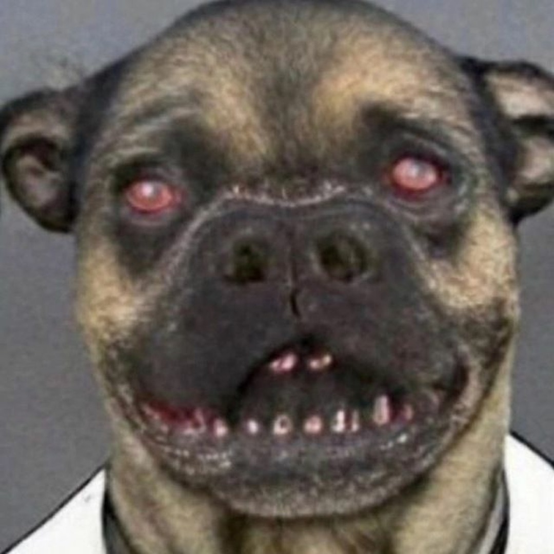 Stream weed in my system by reaktormane187 Listen online for free on