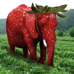 strawberry elephant