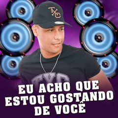 Eu Acho Que Estou Gostando de Você