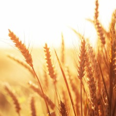 Simple Gifts (Jazz-Pop Piano Arrangement)