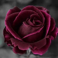 데미안 (Prod. saint soul)