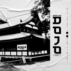 INSIDE THE DOJO LEVEL 4.