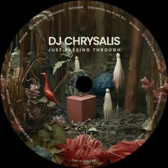 DJ Chrysalis - Just Passing Through (TIOT-DIGI5)