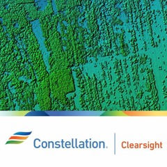 Benefits of Drones in Forestry for Utility Pole Inspections