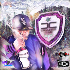 The Return Of The Cannabis Club