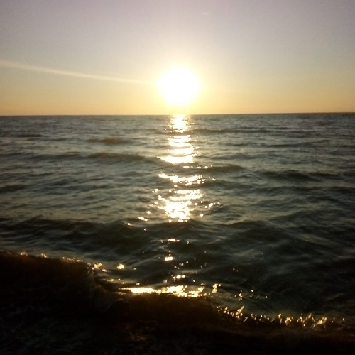 Rest