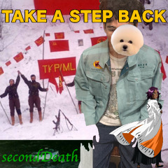 take a step back
