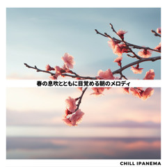 Pastel Skies Leisure Walk