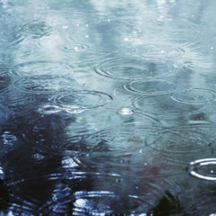 sweetly drowning love