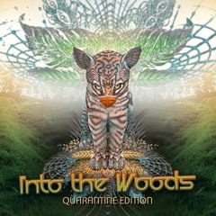 Into the Woods - Quarantine Edition (Sunna Records)
