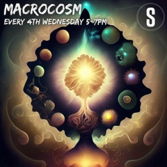 Macrosom February 2024 Des