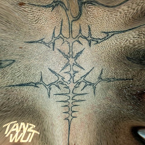 TAYPHOON - TANZWUT