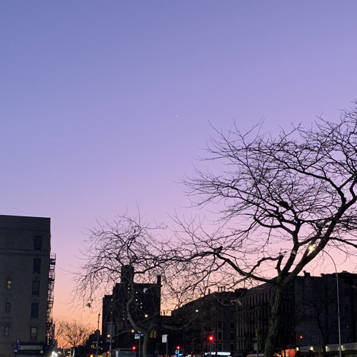 daedalus III (prod. glo + pvtjoker)