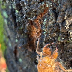 나의 노래 144