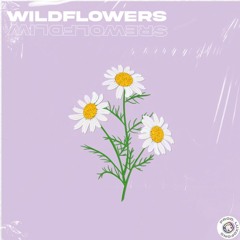 Lo-fi Type Beat - " Wildflowers " (Prod. Luxøfons)