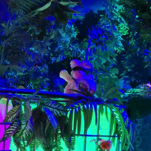 horizons (prod. warheart + 45solstice + heyylotus)