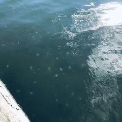 Letting Go (Steffany Gretzinger cover)