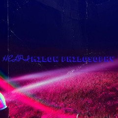 Helpi