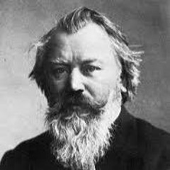 Hungarian Dance N°5 - Johannes Brahms (live recording)