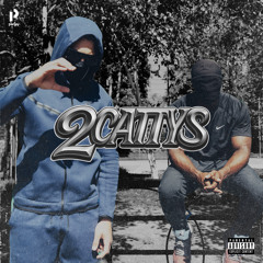 2 Cattys