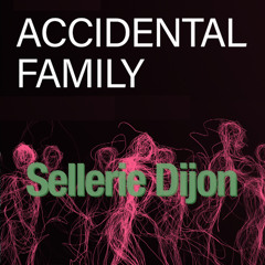 Sellerie Dijon @ Accidental Family 20250524 ✨