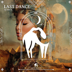 Dj Shock-Last Dance (Original Mix)Instrumental
