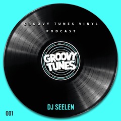 Groovy Tunes VINYL VOL. 1 | Dj Seelen