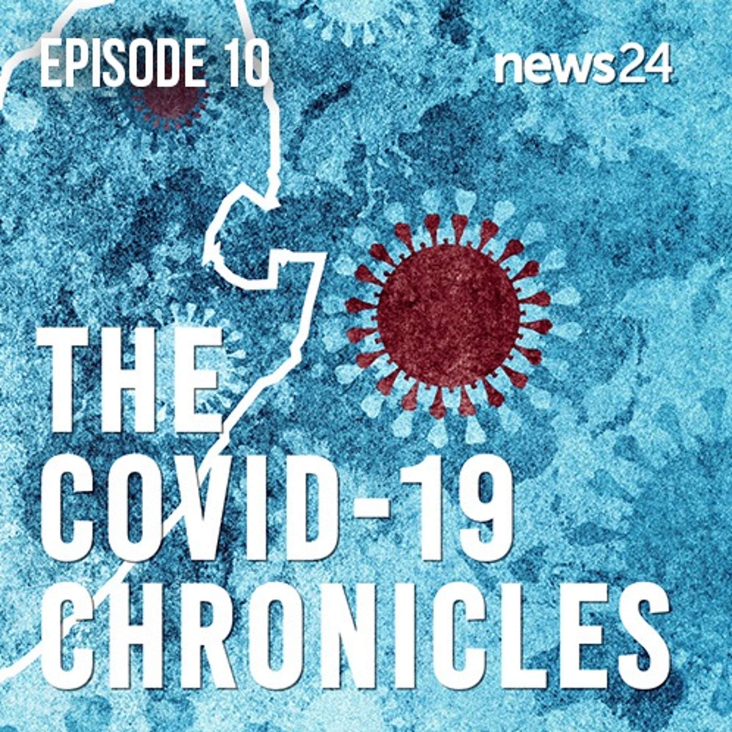 Covid-19 Chronicles | Hairdressers head back to court to demand reopening of industry