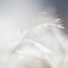 amiss [w/ Camo, opbeatz]