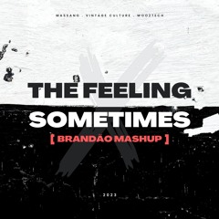 The Feeling X Sometimes (BRANDÃO MASHUP)