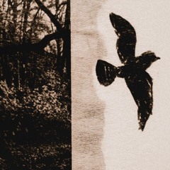 to find the light [prod. dennydarko]