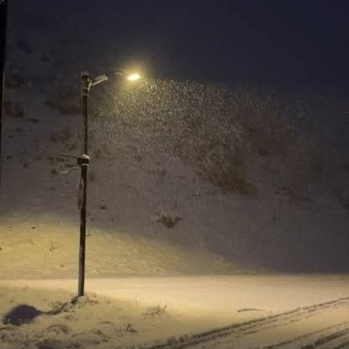 should've kept everything inside