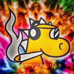 D&B Mix February Flavours 2025