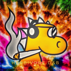 HERBivore- D&B 2022 Megamix