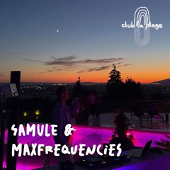 samule & maxfrequencies - branich mixtape