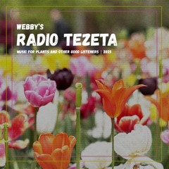 Webby’s Radio Tezeta