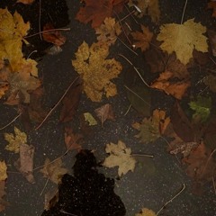 Autumn Leaves