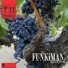 FUNKiMAN's SELECTION 0117 - Blair Suarez Guest Mix