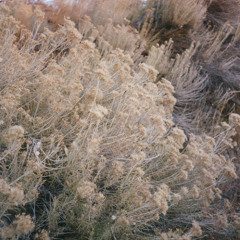 after _____. sun stroke summer | desire path radio 11.13.25