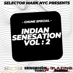 INDIAN SENSATION VOL 2 (SELECTOR MARK NYC)