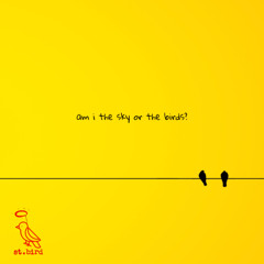 am i the sky or the birds?