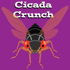 Cicada Crunch