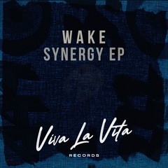 PremEar: Wake - Synergy [VLVR020]