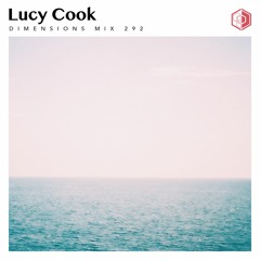 DIM292 - Lucy Cook